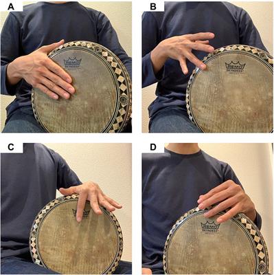 Tapping Performance of Professional and Amateur Darbuka Players